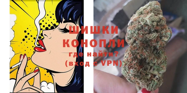 дмт Арсеньев