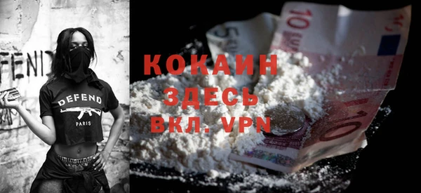 дмт Арсеньев
