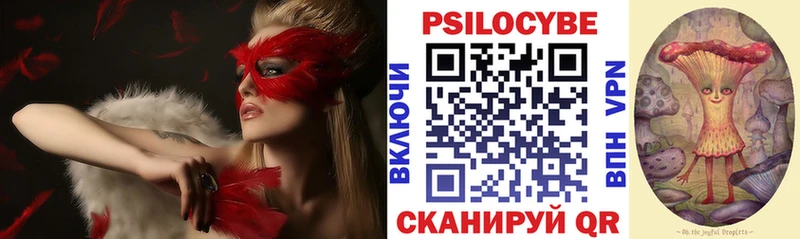 Псилоцибиновые грибы мицелий  Сасово 